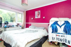 Photo 4- click for photo gallery